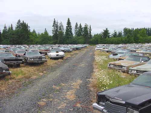 Pictures of Interest